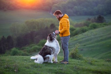 İnsan doğada köpekleriyle gün batımında.