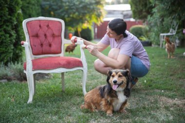 Bahçede köpeğiyle ahşap mobilya boyayan bir kadın. Ev dekorasyonu yeniden biçimlendiriliyor
