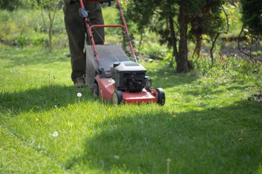 Çim biçme makinesiyle çimleri biçmek. Bahçe işleri konsepti.