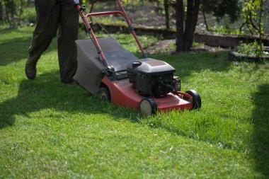 Çim biçme makinesiyle çimleri biçmek. Bahçe işleri konsepti.