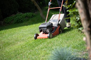 Çim biçme makinesiyle çimleri biçmek. Bahçe işleri konsepti.