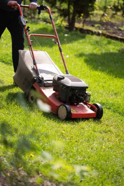 Çim biçme makinesiyle çimleri biçmek. Bahçe işleri konsepti.