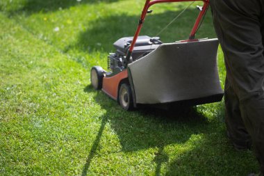 Çim biçme makinesiyle çimleri biçmek. Bahçe işleri konsepti.