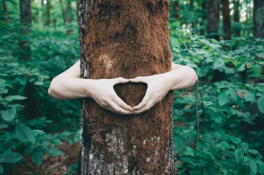 Ormanda bir ağacı kucaklayan insan eli. İnsanların kavramı doğayı sever ve ormansızlaşmadan, kirlilikten veya iklim değişikliğinden korur.