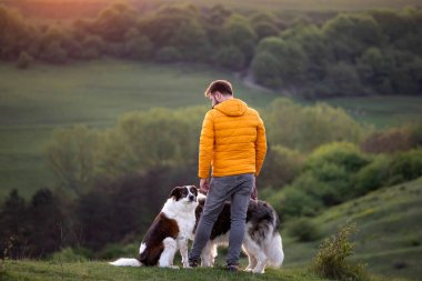 İnsan doğada köpekleriyle gün batımında.