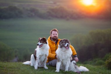 İnsan doğada köpekleriyle gün batımında.