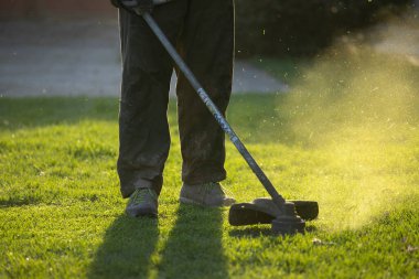 Çim biçme makinesiyle çimleri biçmek. Bahçe işleri konsepti.