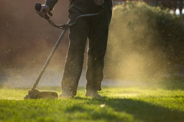 Çim biçme makinesiyle çimleri biçmek. Bahçe işleri konsepti.