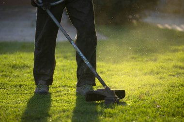 Çim biçme makinesiyle çimleri biçmek. Bahçe işleri konsepti.