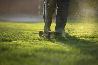 Çim biçme makinesiyle çimleri biçmek. Bahçe işleri konsepti.
