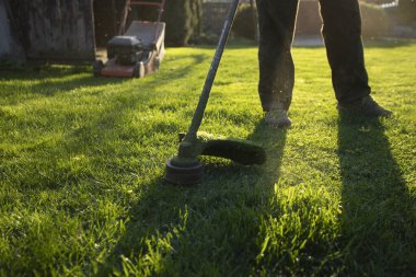 Çim biçme makinesiyle çimleri biçmek. Bahçe işleri konsepti.