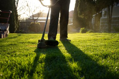 Çim biçme makinesiyle çimleri biçmek. Bahçe işleri konsepti.