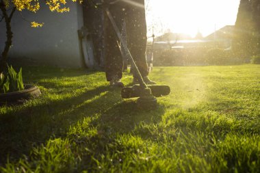 Çim biçme makinesiyle çimleri biçmek. Bahçe işleri konsepti.