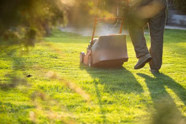 Çim biçme makinesiyle çimleri biçmek. Bahçe işleri konsepti.