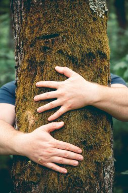 Ormanda bir ağacı kucaklayan insan eli. İnsanların kavramı doğayı sever ve ormansızlaşmadan, kirlilikten veya iklim değişikliğinden korur.