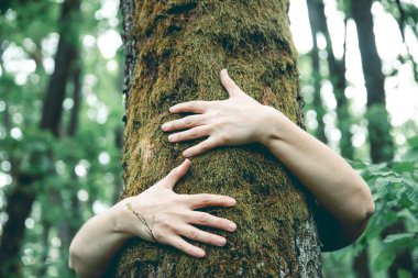 Ormanda bir ağacı kucaklayan insan eli. İnsanların kavramı doğayı sever ve ormansızlaşmadan, kirlilikten veya iklim değişikliğinden korur.