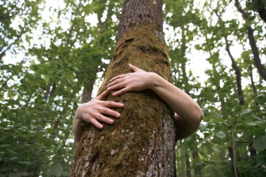 Ormanda bir ağacı kucaklayan insan eli. İnsanların kavramı doğayı sever ve ormansızlaşmadan, kirlilikten veya iklim değişikliğinden korur.