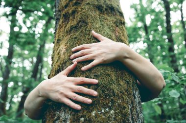 Ormanda bir ağacı kucaklayan insan eli. İnsanların kavramı doğayı sever ve ormansızlaşmadan, kirlilikten veya iklim değişikliğinden korur.