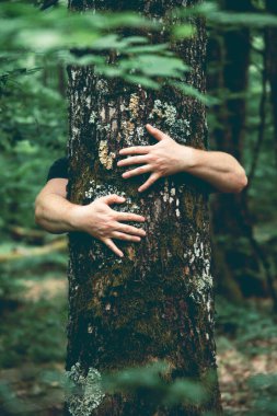 Ormanda bir ağacı kucaklayan insan eli. İnsanların kavramı doğayı sever ve ormansızlaşmadan, kirlilikten veya iklim değişikliğinden korur.