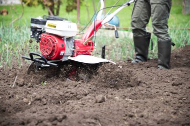 Bahçede Tiller 'la çalışan bir adam..