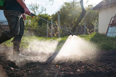 Çiftçi bahçeye sebze ilacı, böcek ilacı ya da böcek ilacı sıkıyor.