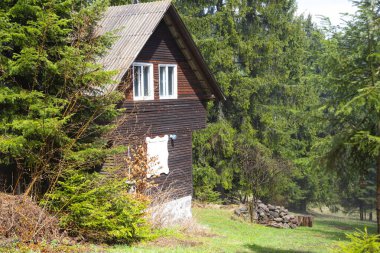 Ormanın derinliklerindeki dağ kulübesinde