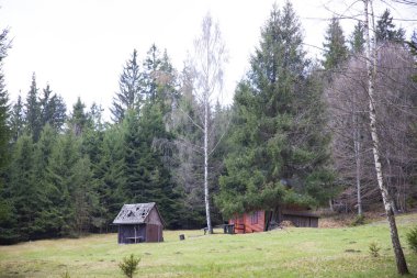 Ormanın derinliklerindeki dağ kulübesinde