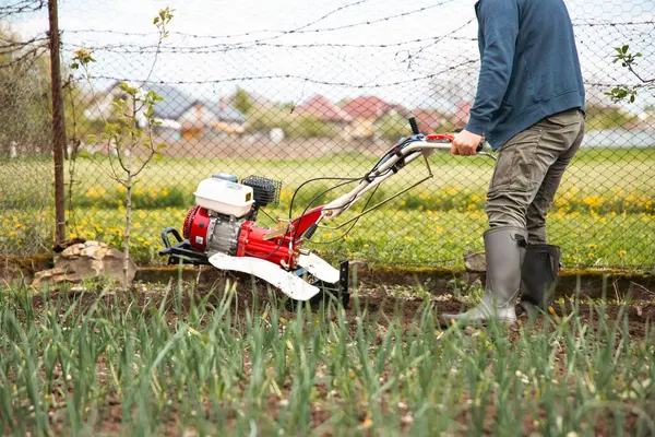 Bahçede Tiller 'la çalışan bir adam..