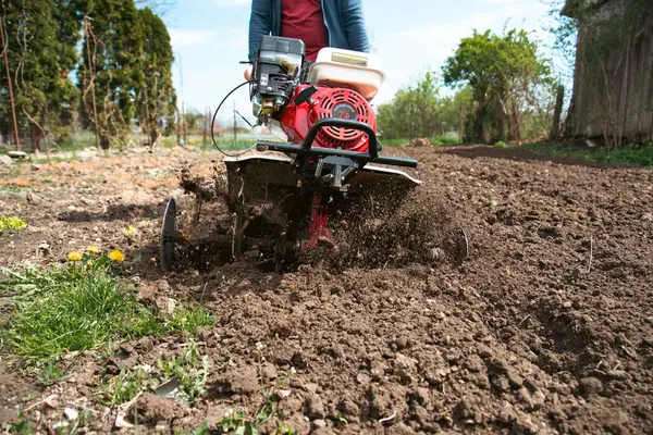 Organik tarım yapan adam toprağı bir dümenciyle işliyor toprağı ekime hazırlıyor.