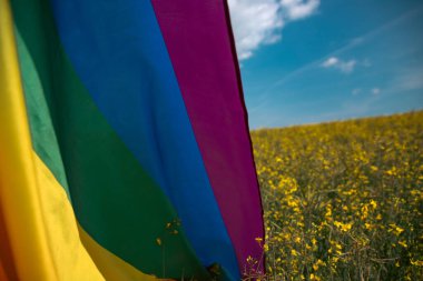 Bahar tarlasında parlak gökkuşağı LGBT bayrağı. LGBT topluluğu, aynı cinsiyetten çiftler için mutluluk, özgürlük ve aşk kavramı.
