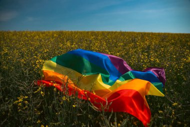 Bahar tarlasında parlak gökkuşağı LGBT bayrağı. LGBT topluluğu, aynı cinsiyetten çiftler için mutluluk, özgürlük ve aşk kavramı.