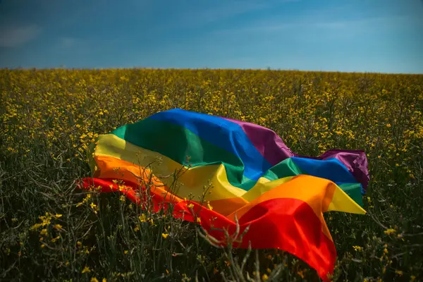 Bahar tarlasında parlak gökkuşağı LGBT bayrağı. LGBT topluluğu, aynı cinsiyetten çiftler için mutluluk, özgürlük ve aşk kavramı.