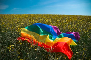 Bahar tarlasında parlak gökkuşağı LGBT bayrağı. LGBT topluluğu, aynı cinsiyetten çiftler için mutluluk, özgürlük ve aşk kavramı.