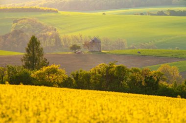 Kunkovice eski değirmeni ve Güney Moravya 'nın yeşil dalgalı tepeleri ile doğanın bahar manzarası, Çek republi