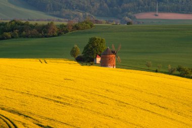 Güney Moravya, Çek Cumhuriyeti 'nin Chvalkovice eski değirmeni ve yeşil dalgalı tepeleriyle ilkbahar kırsal manzarası