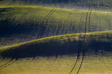 Güney Moravya 'nın yeşil dalgalı tepeleriyle İlkbahar kırsal manzarası, Çek republi