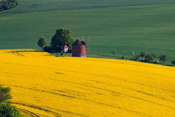Güney Moravya, Çek Cumhuriyeti 'nin Chvalkovice eski değirmeni ve yeşil dalgalı tepeleriyle ilkbahar kırsal manzarası