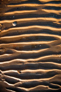 Beach sand background with natural wave pattern