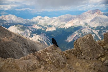 Croda Rossa, Dolmites, İtalya 'daki Tofana di Mezzo manzarası.