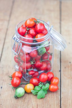 Cam kavanozda fesleğen yapraklı kiraz domatesleri. Sonbahar ya da kış için yiyecek. Ev yapımı hazırlıklar.