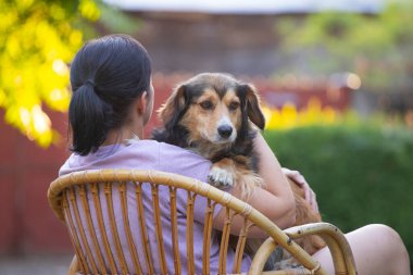 Sıradan, orta yaşlı bir kadın bahçede küçük kahverengi köpeğiyle eğleniyor. Hayvanlarla bağ kurma ve birlikte olmaktan keyif alma kavramı.