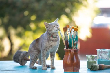 Kil sürahisinde boya fırçaları ve sevimli bir kedi..