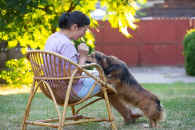 Sıradan, orta yaşlı bir kadın bahçede küçük kahverengi köpeğiyle eğleniyor. Hayvanlarla bağ kurma ve birlikte olmaktan keyif alma kavramı.