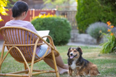 Kadın kitap okuyor, güneşli bir günde tüylü kahverengi köpeğiyle sandalyede dinleniyor. Hayvanlarla bağ kurma ve birlikte olmaktan keyif alma kavramı.