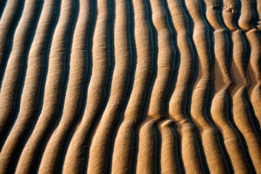 Beach sand background with natural wave pattern