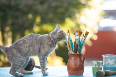 Kil sürahisinde boya fırçaları ve sevimli bir kedi..