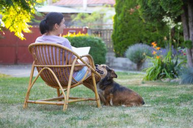 Kadın kitap okuyor, güneşli bir günde tüylü kahverengi köpeğiyle sandalyede dinleniyor. Hayvanlarla bağ kurma ve birlikte olmaktan keyif alma kavramı.
