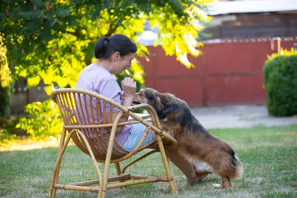 Sıradan, orta yaşlı bir kadın bahçede küçük kahverengi köpeğiyle eğleniyor. Hayvanlarla bağ kurma ve birlikte olmaktan keyif alma kavramı.