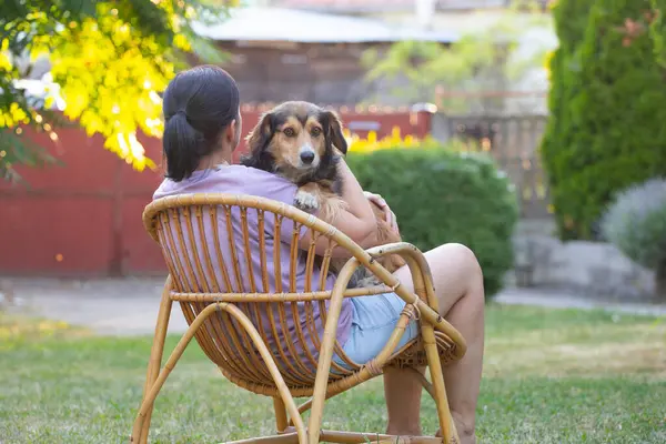 Sıradan, orta yaşlı bir kadın bahçede küçük kahverengi köpeğiyle eğleniyor. Hayvanlarla bağ kurma ve birlikte olmaktan keyif alma kavramı.