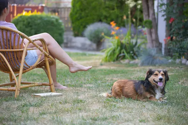 Sıradan, orta yaşlı bir kadın bahçede küçük kahverengi köpeğiyle eğleniyor. Hayvanlarla bağ kurma ve birlikte olmaktan keyif alma kavramı.